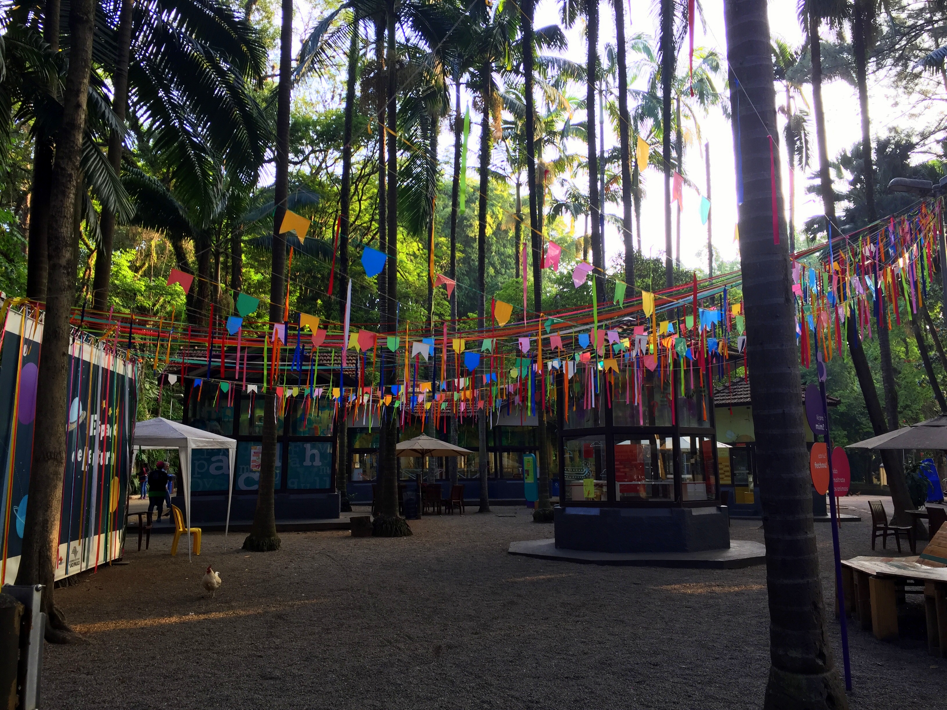 Amanhecer no Campo brings slowed-down time to a CASACOR nursery
